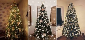 Ozdobené vánoční stromky