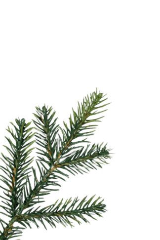 Umělý vánoční stromek 3D Mini Smrk Lesní v květináči