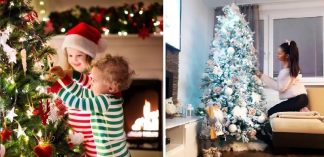 Kdy postavit vánoční stromek?