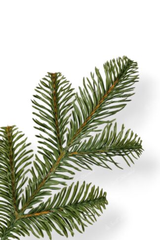 Detail větvičky Umělý vánoční stromek FULL 3D Jedle Kavkazská