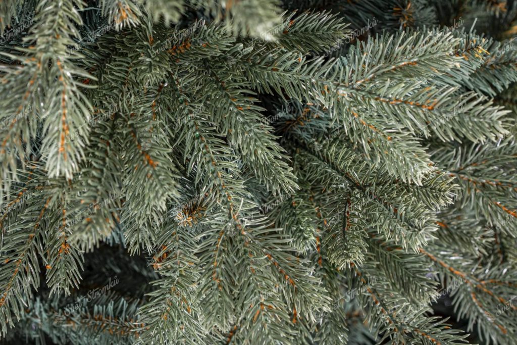 Detail šedo stříbrného 3D jehličí 3D Smrk Ledovy