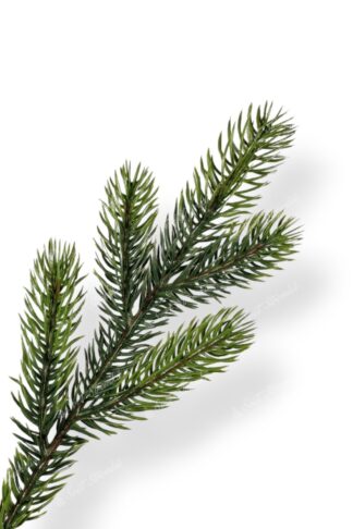 Detail větvičky Umělý vánoční stromek 3D Smrk Robustní