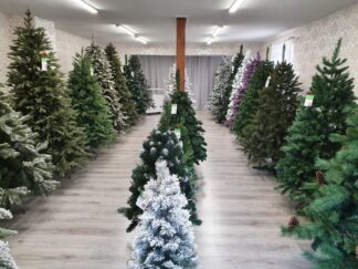 Prodej vánočních stromků