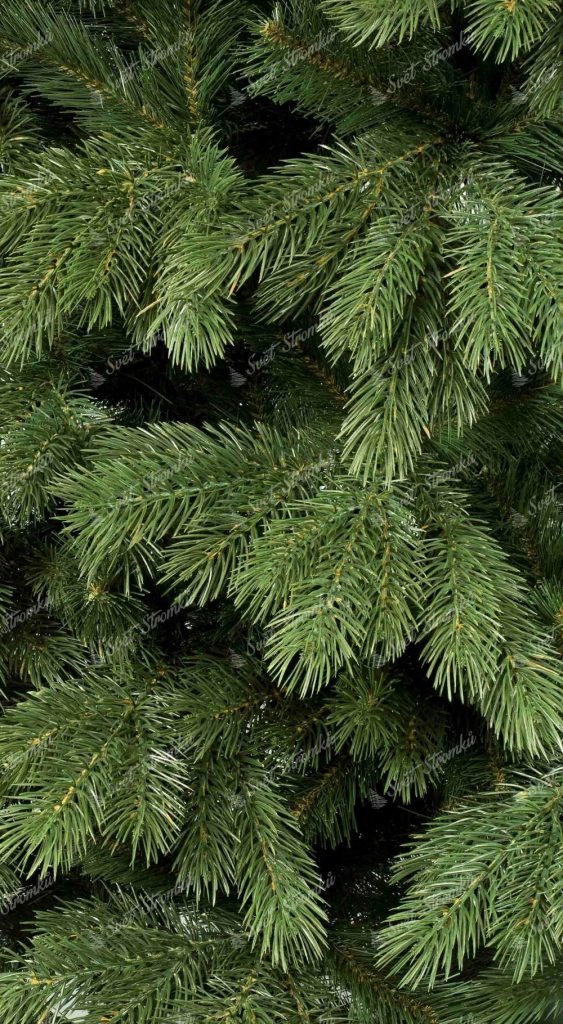 Vánoční stromek 3D Borovice Himalájká, detail konárku