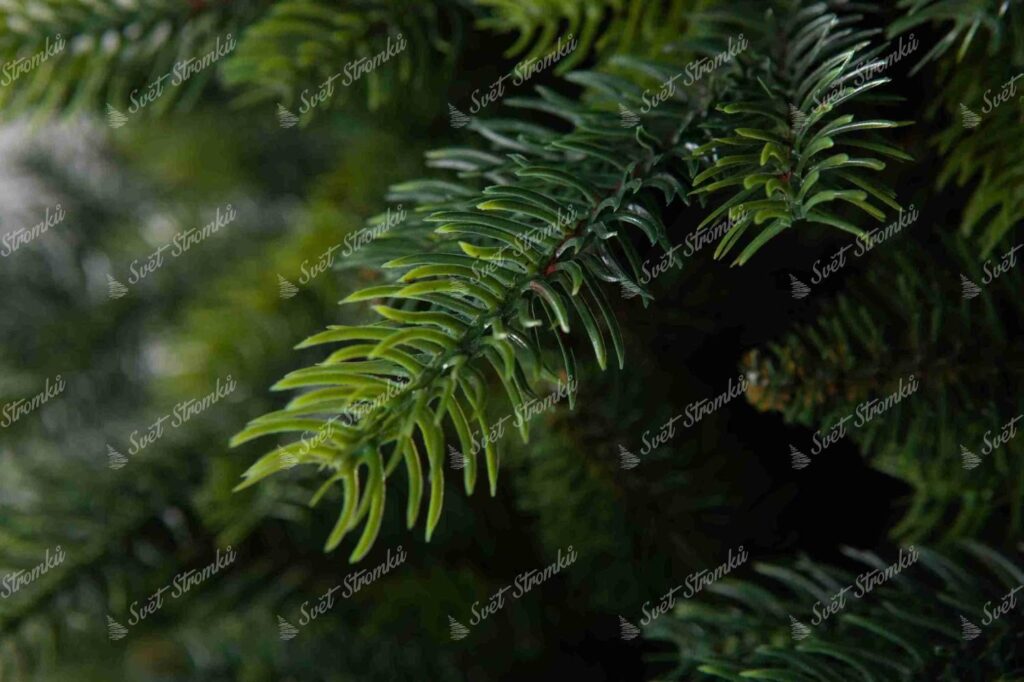 Vánoční stromek 3D Smrk Robustní detail jehličí