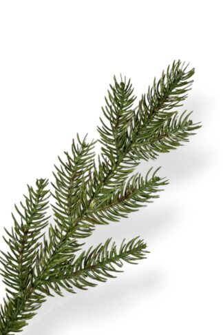 Detail větvičky Umělý vánoční stromek FULL 3D Smrk Exkluzivní