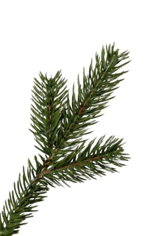 Umělý vánoční stromeček 3D Mini Jedlička LED