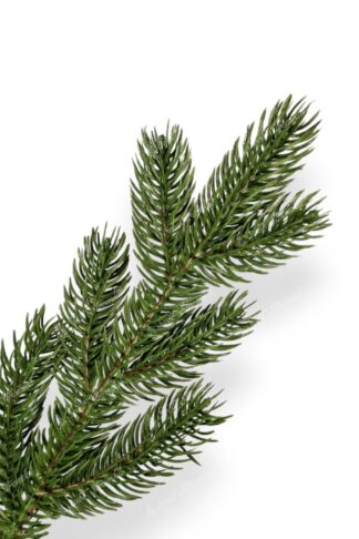 Detail větvičky Umělý vánoční stromek 3D Smrk Exkluzivní