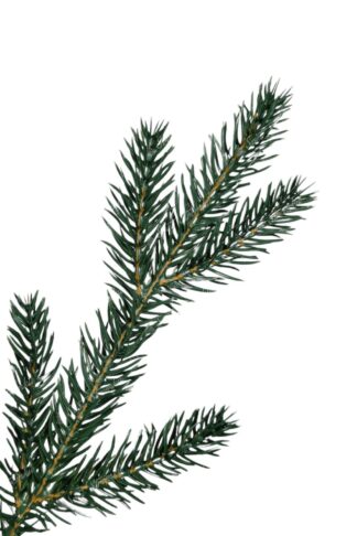 Umělý vánoční stromek 3D Smrk Horský LED