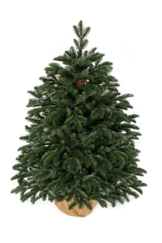 Umělý vánoční stromek 3D Jedle Půvabná v květináči