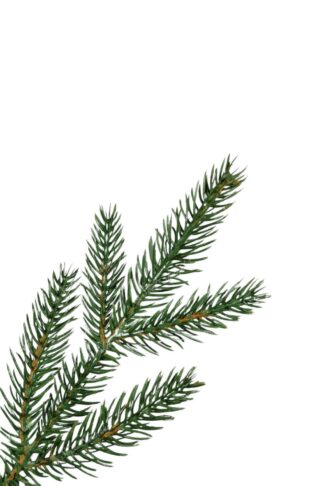 Umělý vánoční stromeček v květináči 3D Smrk Karpatský