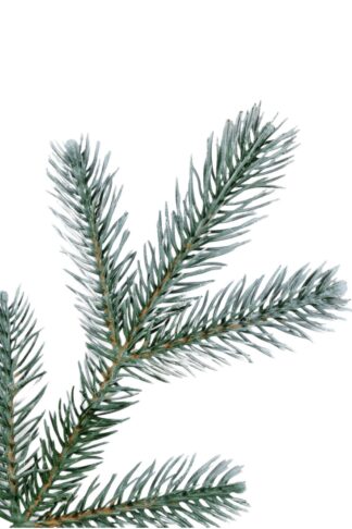 Umělý vánoční stromeček 3D Smrk Stříbrný