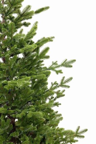 Umělý vánoční stromeček FULL 3D Smrk Švýcarský